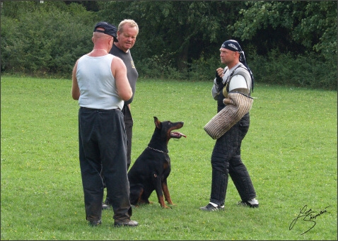 IPO exam - 26. 8. 2007 - Jelenec - Slovakia